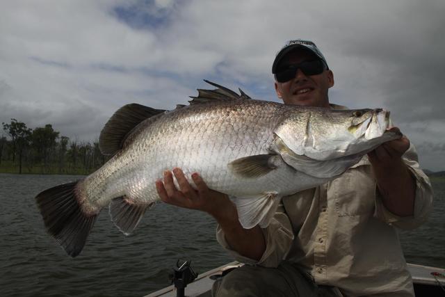 Lake Awoonga QLD fresh water barra. 97cm and released